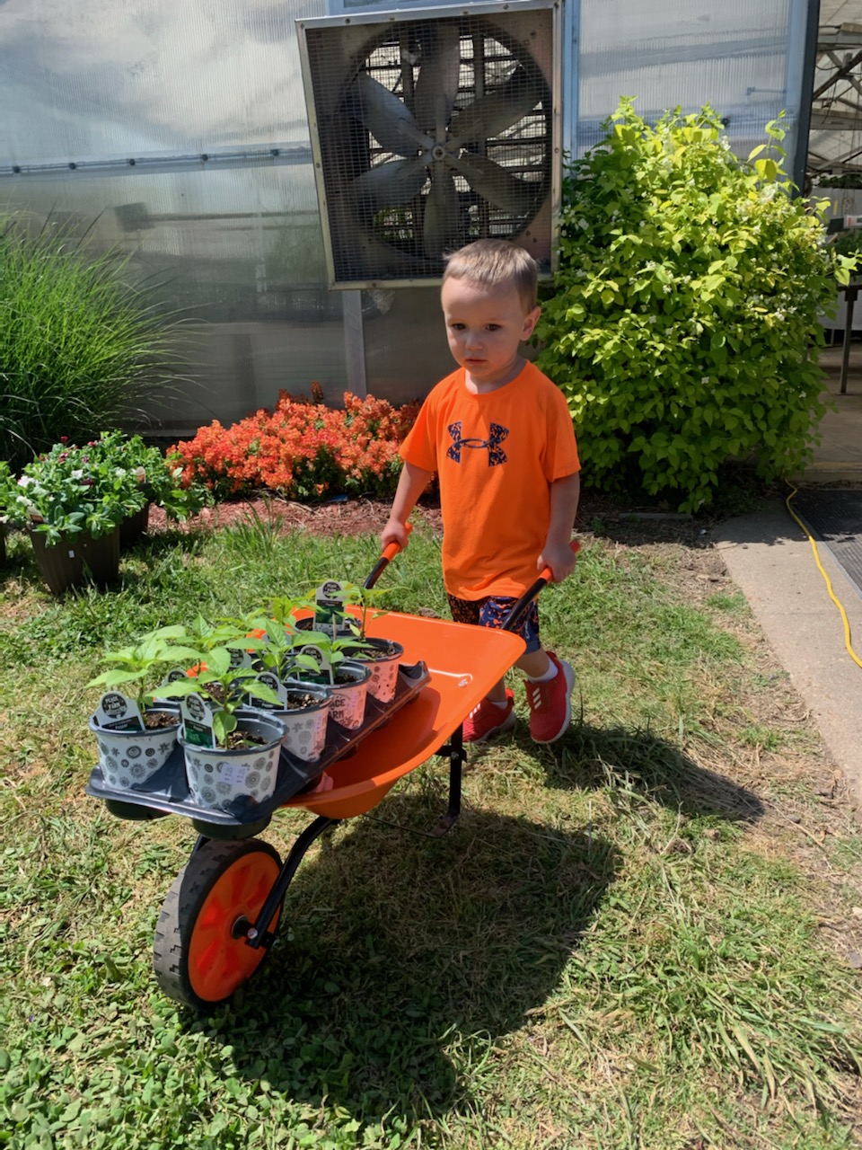 Plant Sale Spring 2022