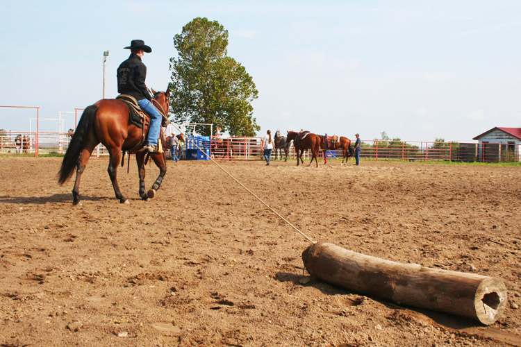 Equine Science